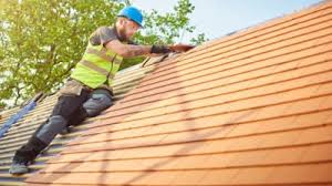 Best Rubber Roofing (EPDM, TPO)  in Auburn, IL
