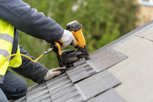 Best Roof Ventilation Installation  in Auburn, IL