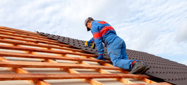 Best Storm Damage Roof Repair  in Auburn, IL