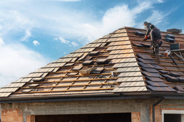 Best Asphalt Shingle Roofing  in Auburn, IL