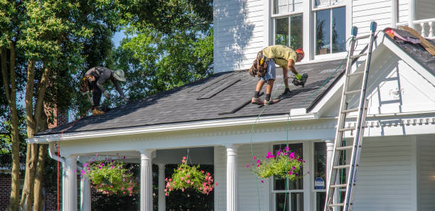 Best Gutter Installation and Repair  in Auburn, IL
